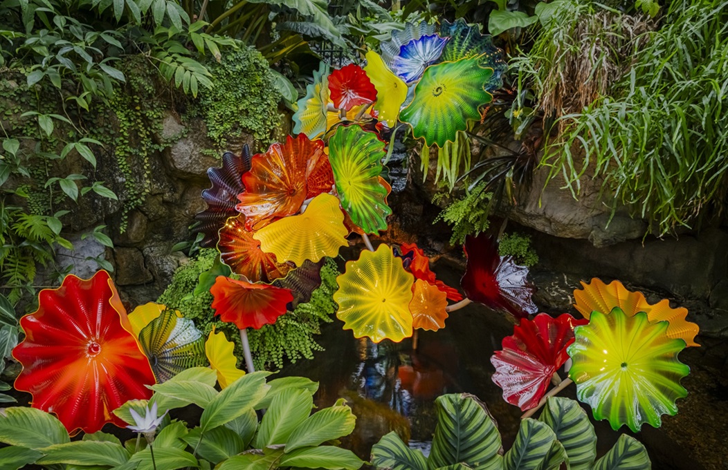 Chihuly in the Botanic