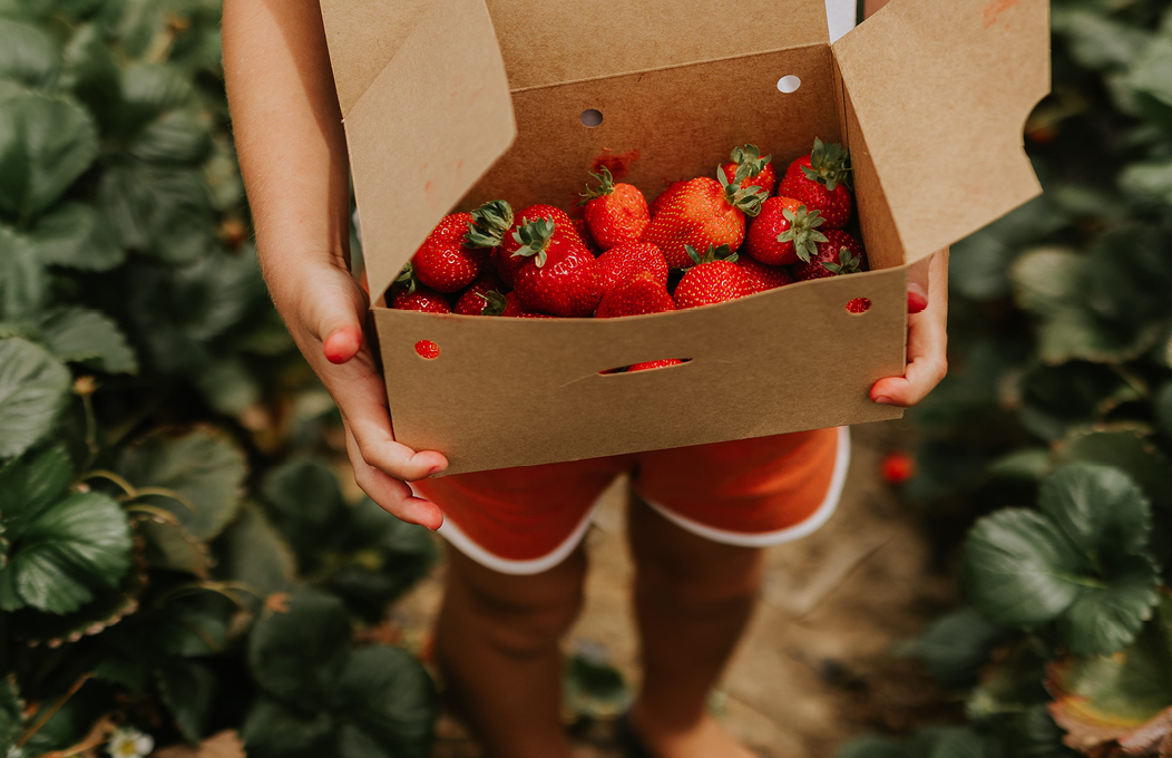 Regional Visitor Strategy