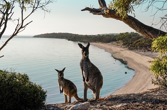 Coffin Bay, Eyre Peninsula