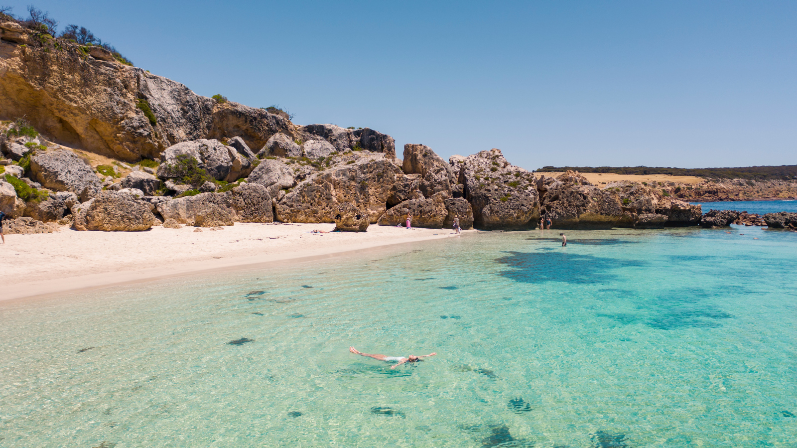 Kangaroo Island’s Stokes Bay crowned Best Australian Beach Tour...