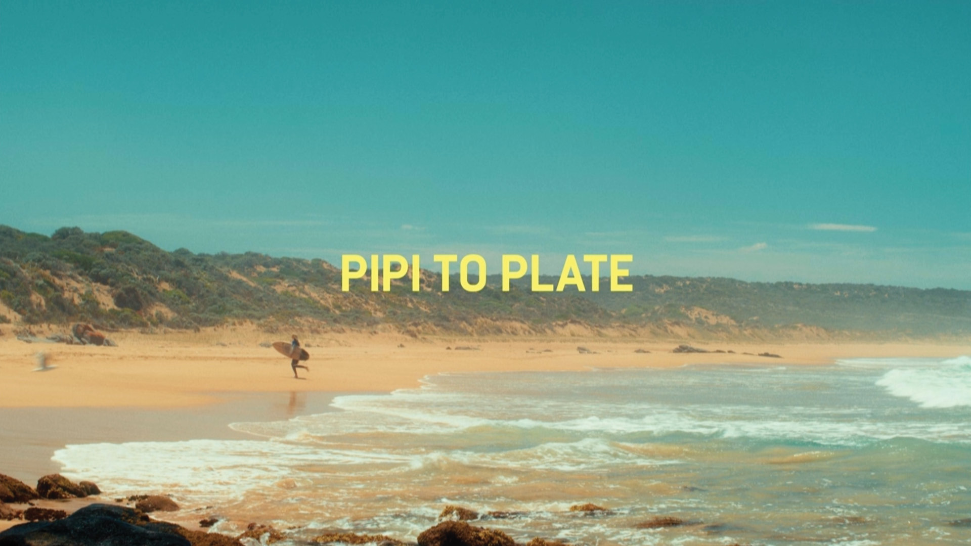 PIPI TO PLATE