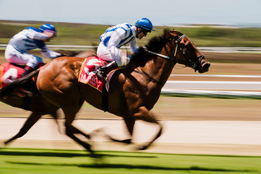 Horse racing