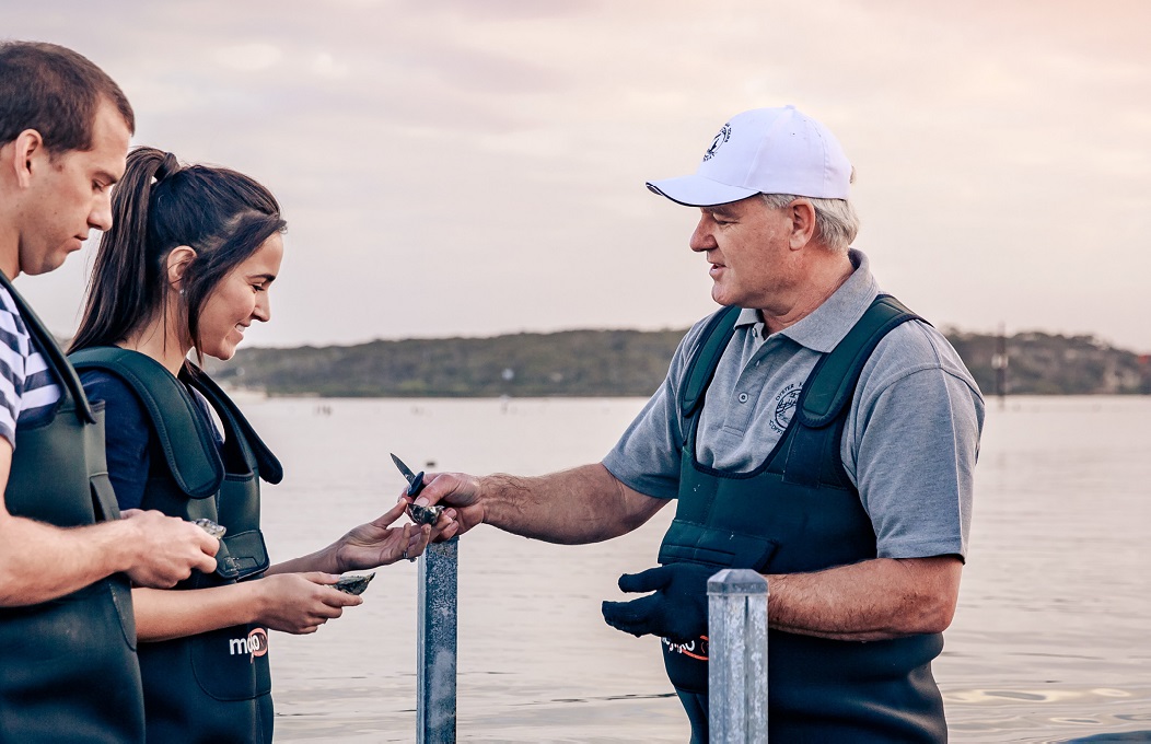 Oyster Farm Tours